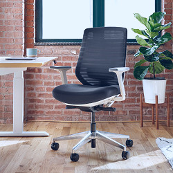 Ergonomic Chair | Ergonomic Office Chair | Branch